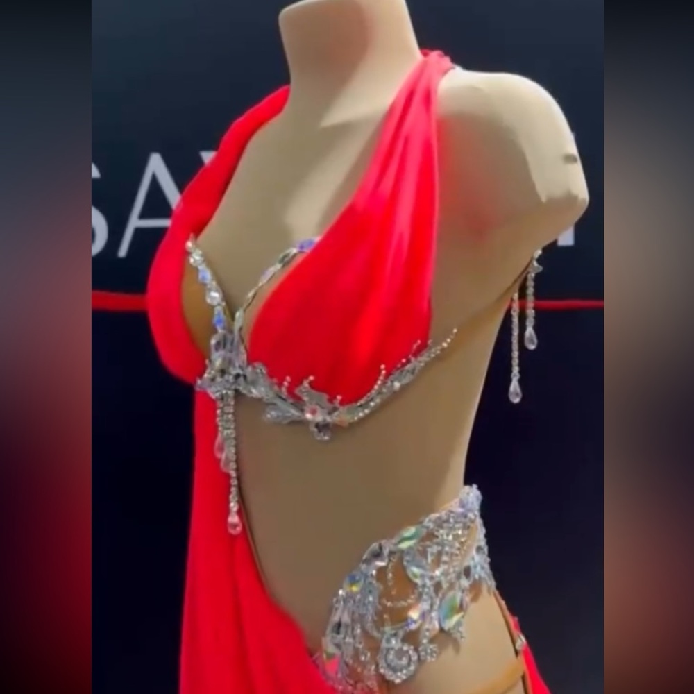 Brand new Savich latin dance dress - Picture 6 of 17